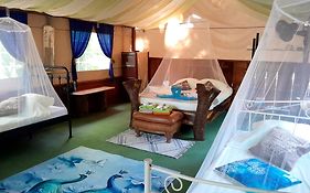 Fully Furnished Family Jungle Tent, Latino Glamping Paquera